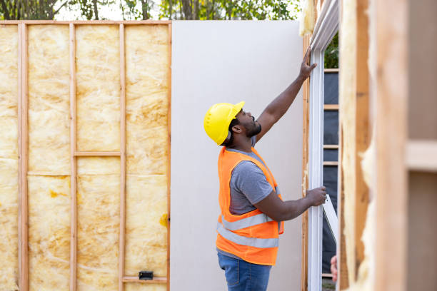Best Insulation for New Construction  in Chetek, WI