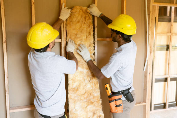 Best Insulation Inspection Services  in Chetek, WI