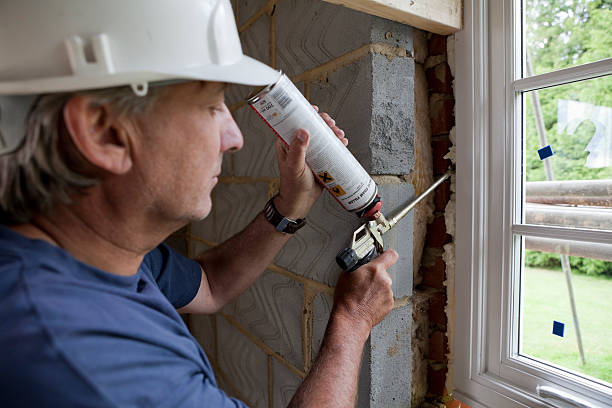 Best Insulation Inspection Services  in Chetek, WI
