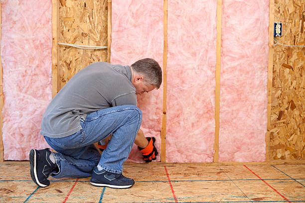 Best Commercial Insulation Contractor  in Chetek, WI